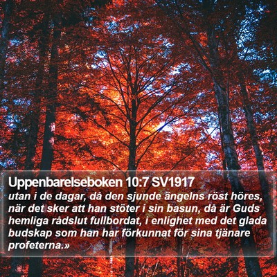 Uppenbarelseboken 10:7 SV1917 Bible Verse Image