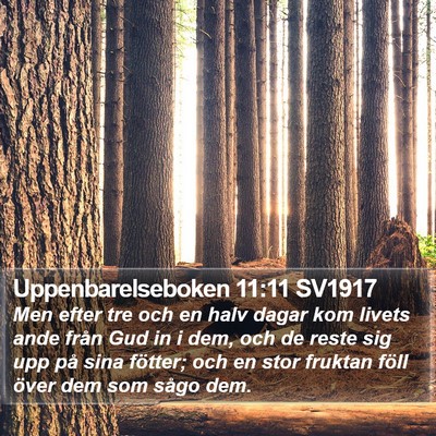 Uppenbarelseboken 11:11 SV1917 Bible Verse Image