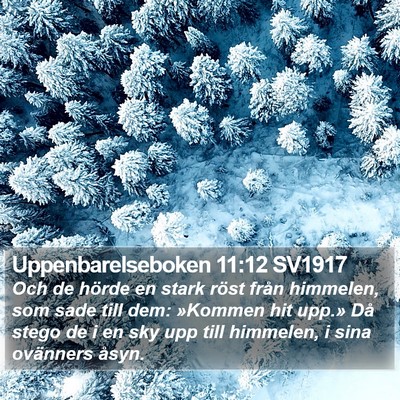 Uppenbarelseboken 11:12 SV1917 Bible Verse Image