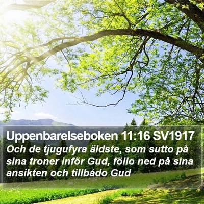 Uppenbarelseboken 11:16 SV1917 Bible Verse Image