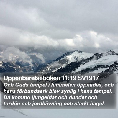 Uppenbarelseboken 11:19 SV1917 Bible Verse Image