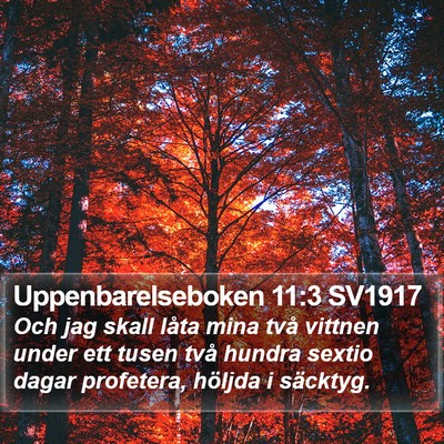 Uppenbarelseboken 11:3 SV1917 Bible Verse Image