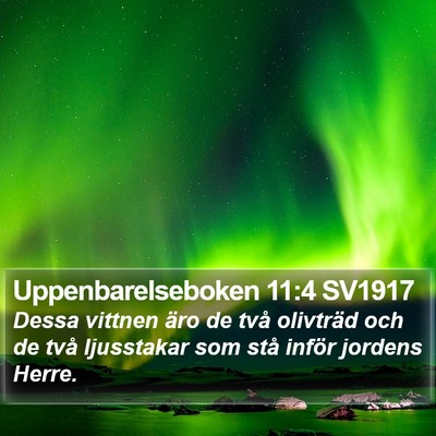 Uppenbarelseboken 11:4 SV1917 Bible Verse Image