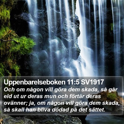 Uppenbarelseboken 11:5 SV1917 Bible Verse Image