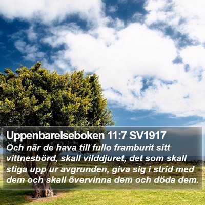 Uppenbarelseboken 11:7 SV1917 Bible Verse Image