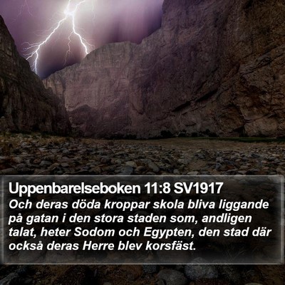 Uppenbarelseboken 11:8 SV1917 Bible Verse Image