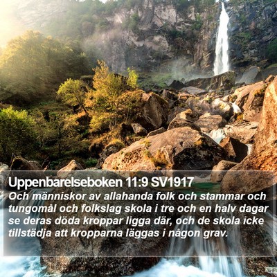 Uppenbarelseboken 11:9 SV1917 Bible Verse Image