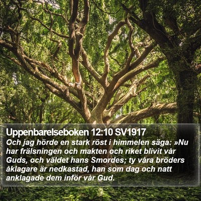 Uppenbarelseboken 12:10 SV1917 Bible Verse Image