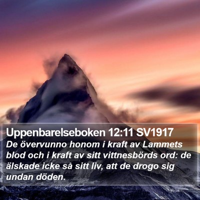 Uppenbarelseboken 12:11 SV1917 Bible Verse Image