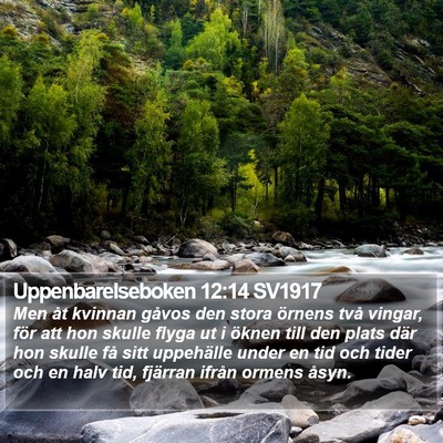 Uppenbarelseboken 12:14 SV1917 Bible Verse Image