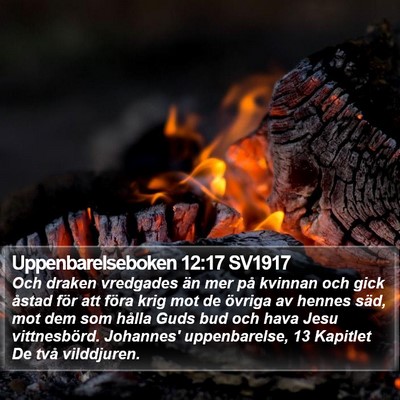 Uppenbarelseboken 12:17 SV1917 Bible Verse Image
