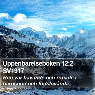 Uppenbarelseboken 12:2 SV1917 Bible Verse Image