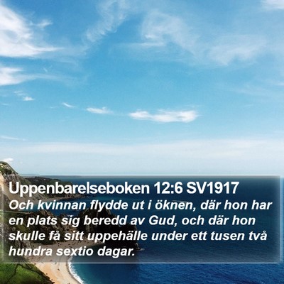 Uppenbarelseboken 12:6 SV1917 Bible Verse Image