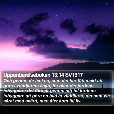 Uppenbarelseboken 13:14 SV1917 Bible Verse Image