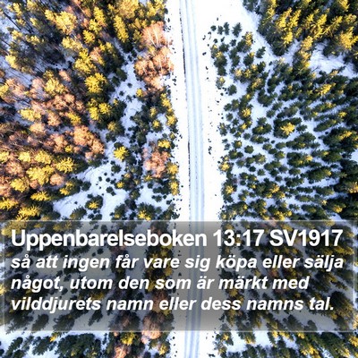 Uppenbarelseboken 13:17 SV1917 Bible Verse Image