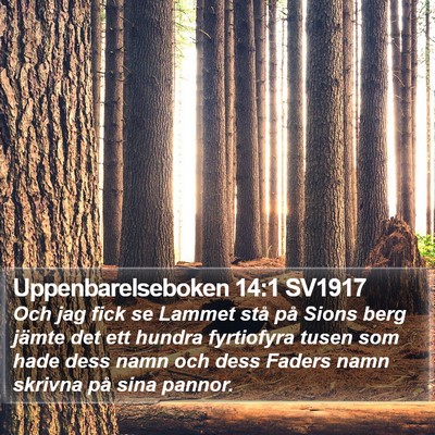 Uppenbarelseboken 14:1 SV1917 Bible Verse Image