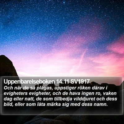 Uppenbarelseboken 14:11 SV1917 Bible Verse Image