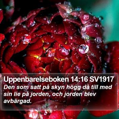 Uppenbarelseboken 14:16 SV1917 Bible Verse Image