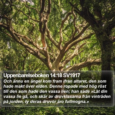 Uppenbarelseboken 14:18 SV1917 Bible Verse Image
