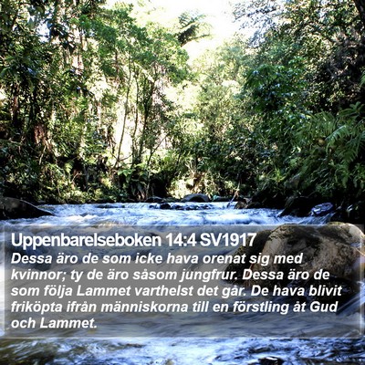 Uppenbarelseboken 14:4 SV1917 Bible Verse Image