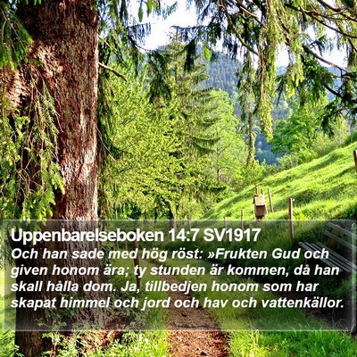 Uppenbarelseboken 14:7 SV1917 Bible Verse Image
