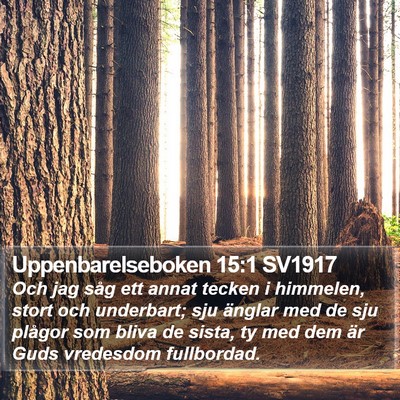 Uppenbarelseboken 15:1 SV1917 Bible Verse Image