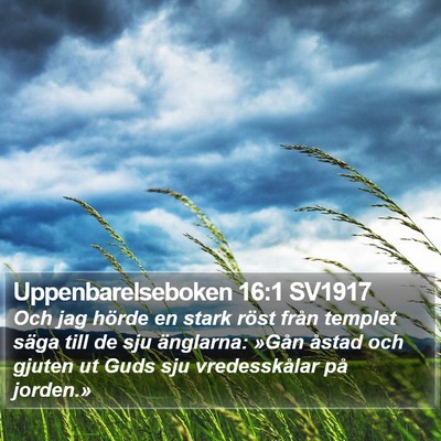 Uppenbarelseboken 16:1 SV1917 Bible Verse Image