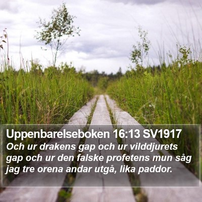 Uppenbarelseboken 16:13 SV1917 Bible Verse Image