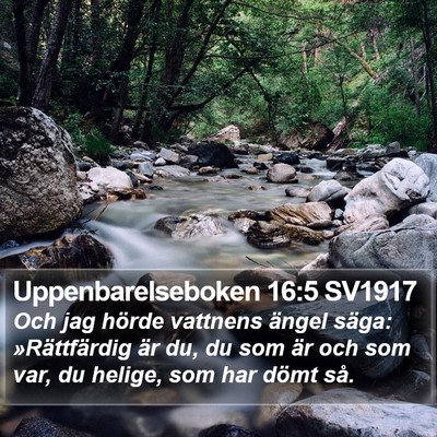 Uppenbarelseboken 16:5 SV1917 Bible Verse Image