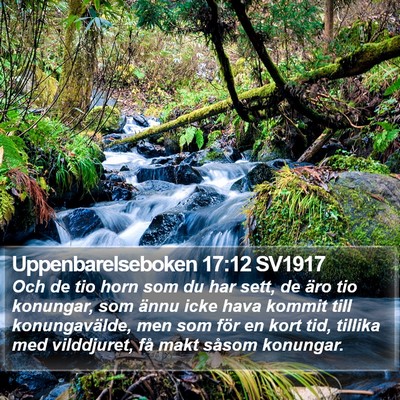 Uppenbarelseboken 17:12 SV1917 Bible Verse Image