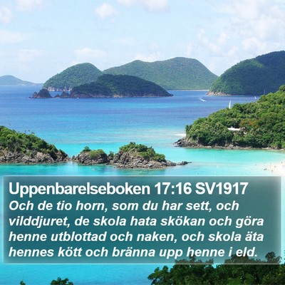 Uppenbarelseboken 17:16 SV1917 Bible Verse Image