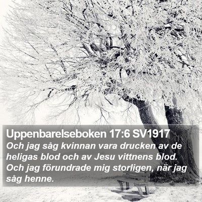 Uppenbarelseboken 17:6 SV1917 Bible Verse Image