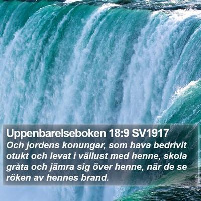 Uppenbarelseboken 18:9 SV1917 Bible Verse Image