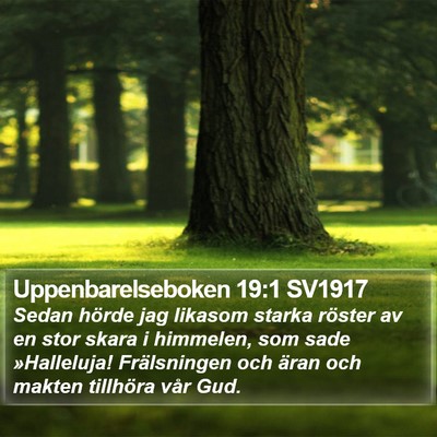 Uppenbarelseboken 19:1 SV1917 Bible Verse Image