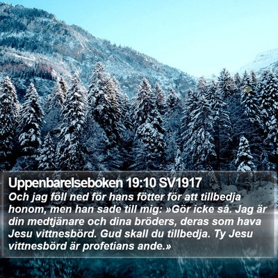 Uppenbarelseboken 19:10 SV1917 Bible Verse Image