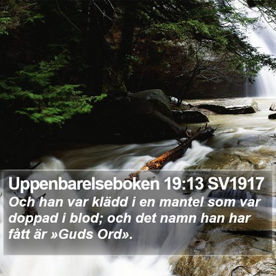 Uppenbarelseboken 19:13 SV1917 Bible Verse Image