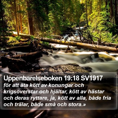 Uppenbarelseboken 19:18 SV1917 Bible Verse Image