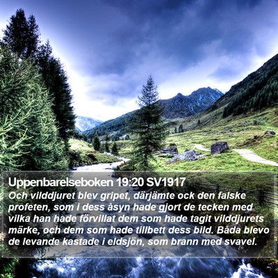 Uppenbarelseboken 19:20 SV1917 Bible Verse Image