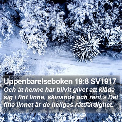 Uppenbarelseboken 19:8 SV1917 Bible Verse Image