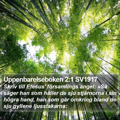 Uppenbarelseboken 2:1 SV1917 Bible Verse Image