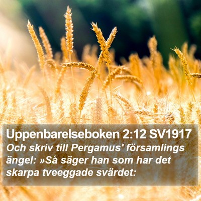 Uppenbarelseboken 2:12 SV1917 Bible Verse Image