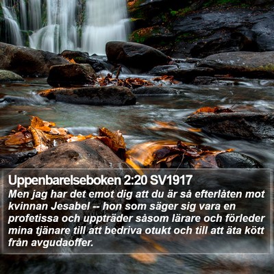 Uppenbarelseboken 2:20 SV1917 Bible Verse Image
