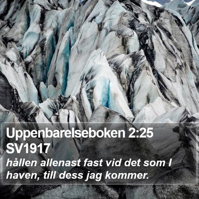 Uppenbarelseboken 2:25 SV1917 Bible Verse Image