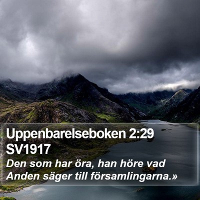 Uppenbarelseboken 2:29 SV1917 Bible Verse Image