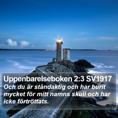 Uppenbarelseboken 2:3 SV1917 Bible Verse Image