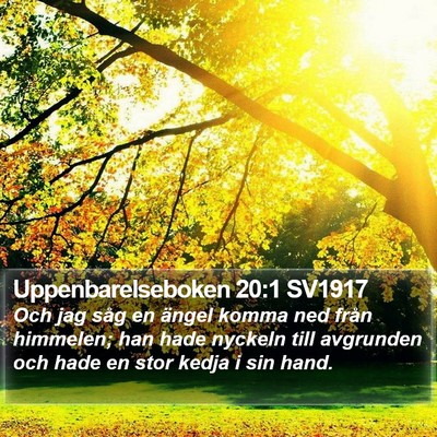 Uppenbarelseboken 20:1 SV1917 Bible Verse Image