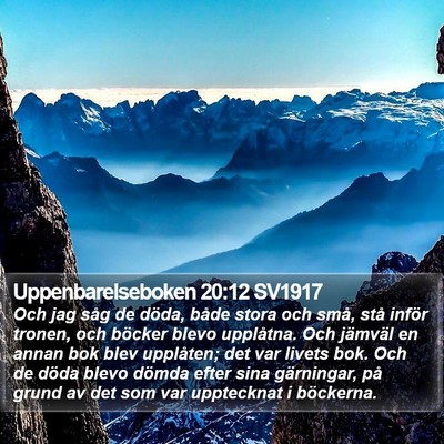 Uppenbarelseboken 20:12 SV1917 Bible Verse Image
