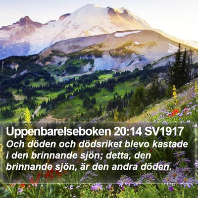Uppenbarelseboken 20:14 SV1917 Bible Verse Image
