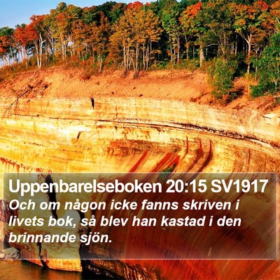 Uppenbarelseboken 20:15 SV1917 Bible Verse Image