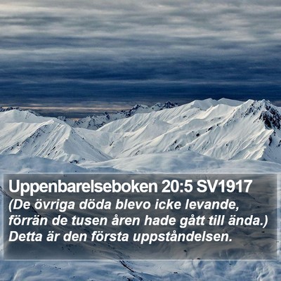 Uppenbarelseboken 20:5 SV1917 Bible Verse Image